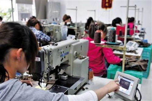 年輕人不進工廠 一場悄然興起的職場自救與中介服務轉型